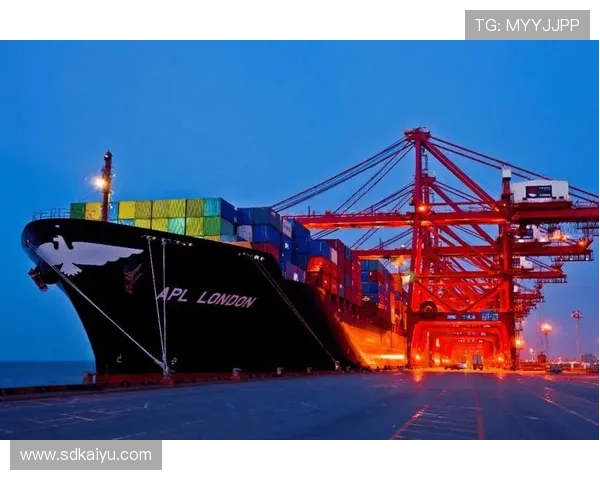 从海港到浙江河南2026征程